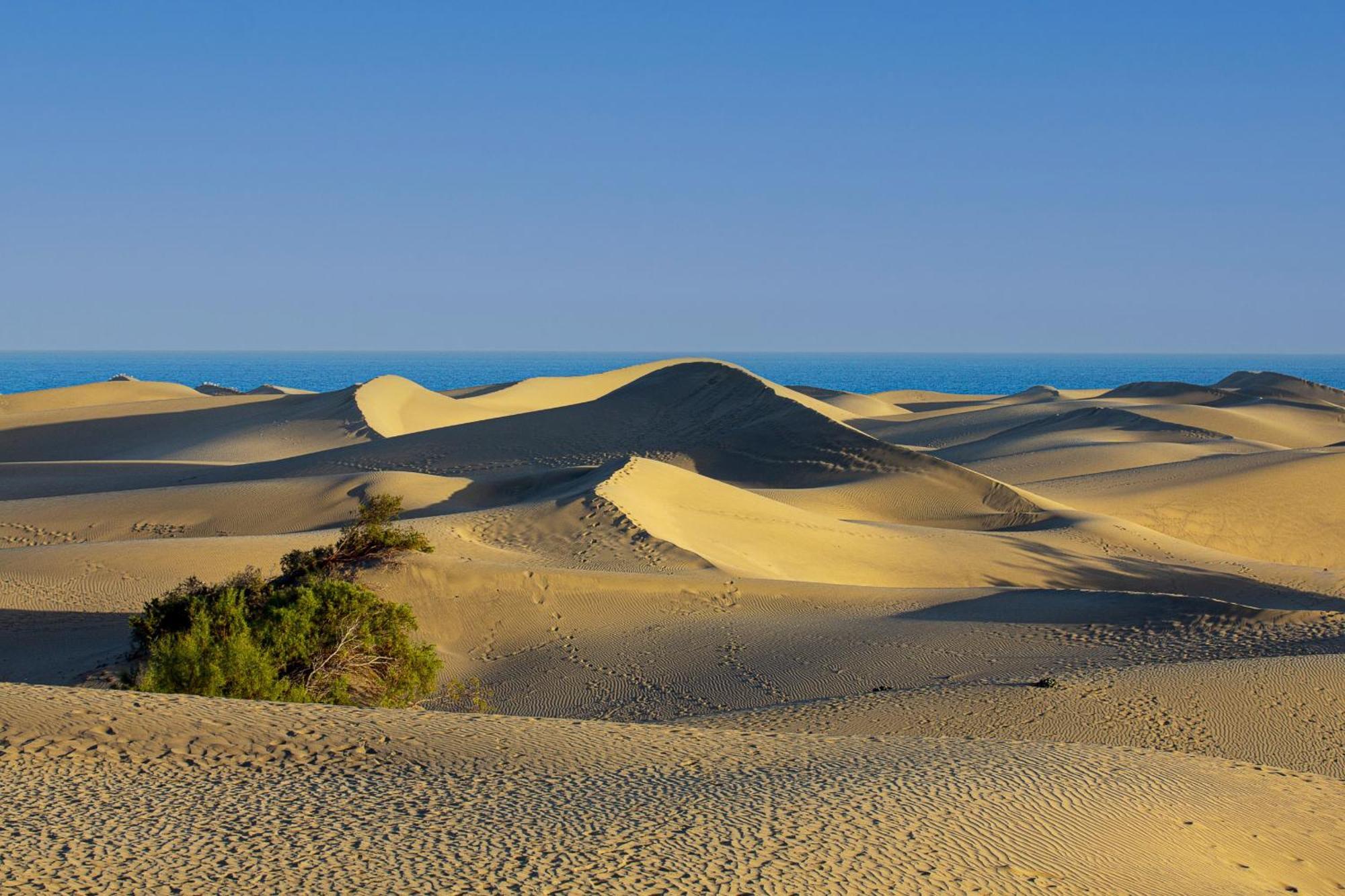 Nice 2 Bedroom Close To The Beach In Maspalomas ปลายา เดล อิงเกลส ภายนอก รูปภาพ